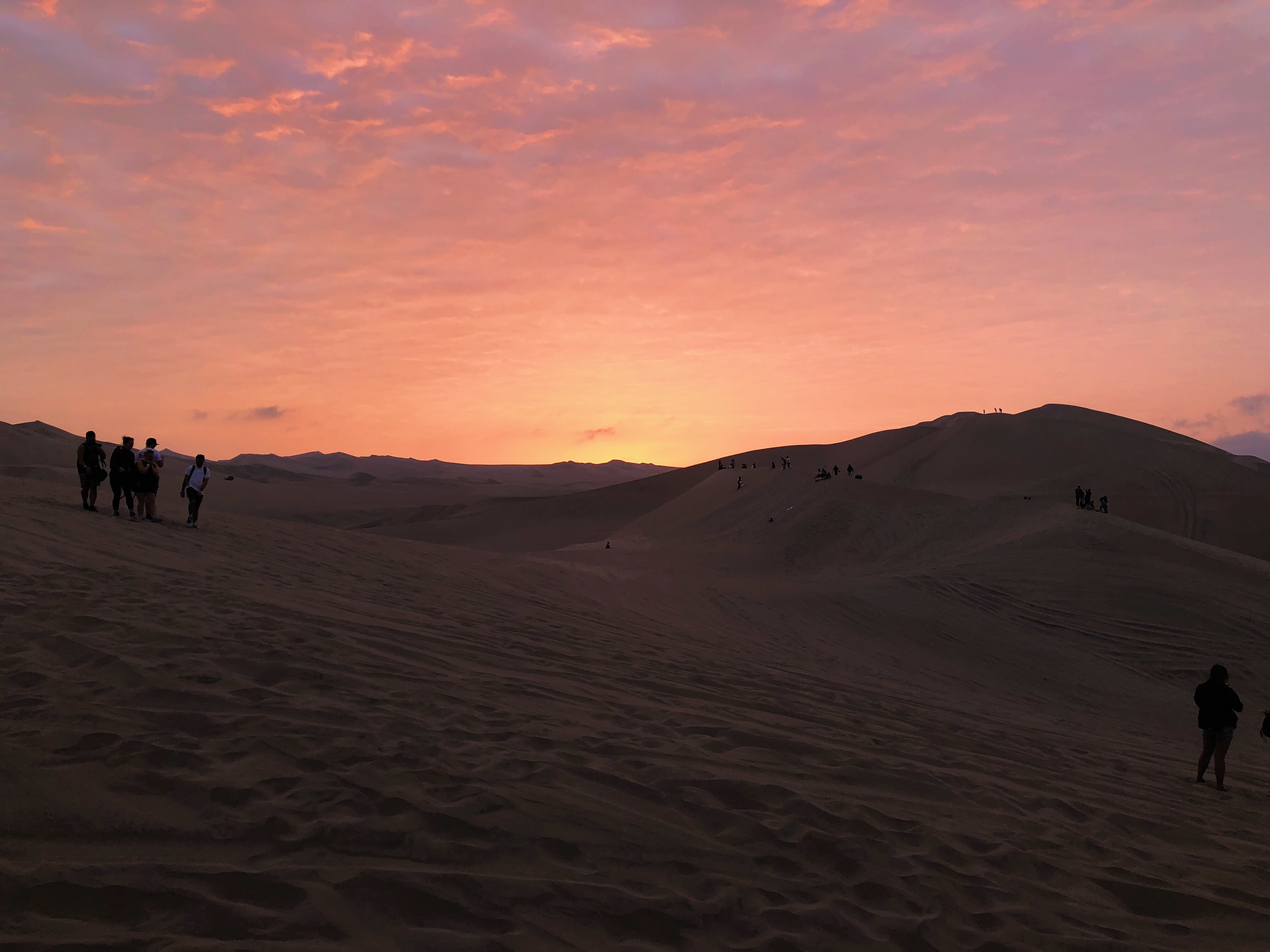 E654ECD5-3CD1-4CF9-AA1A-35D60BE01548