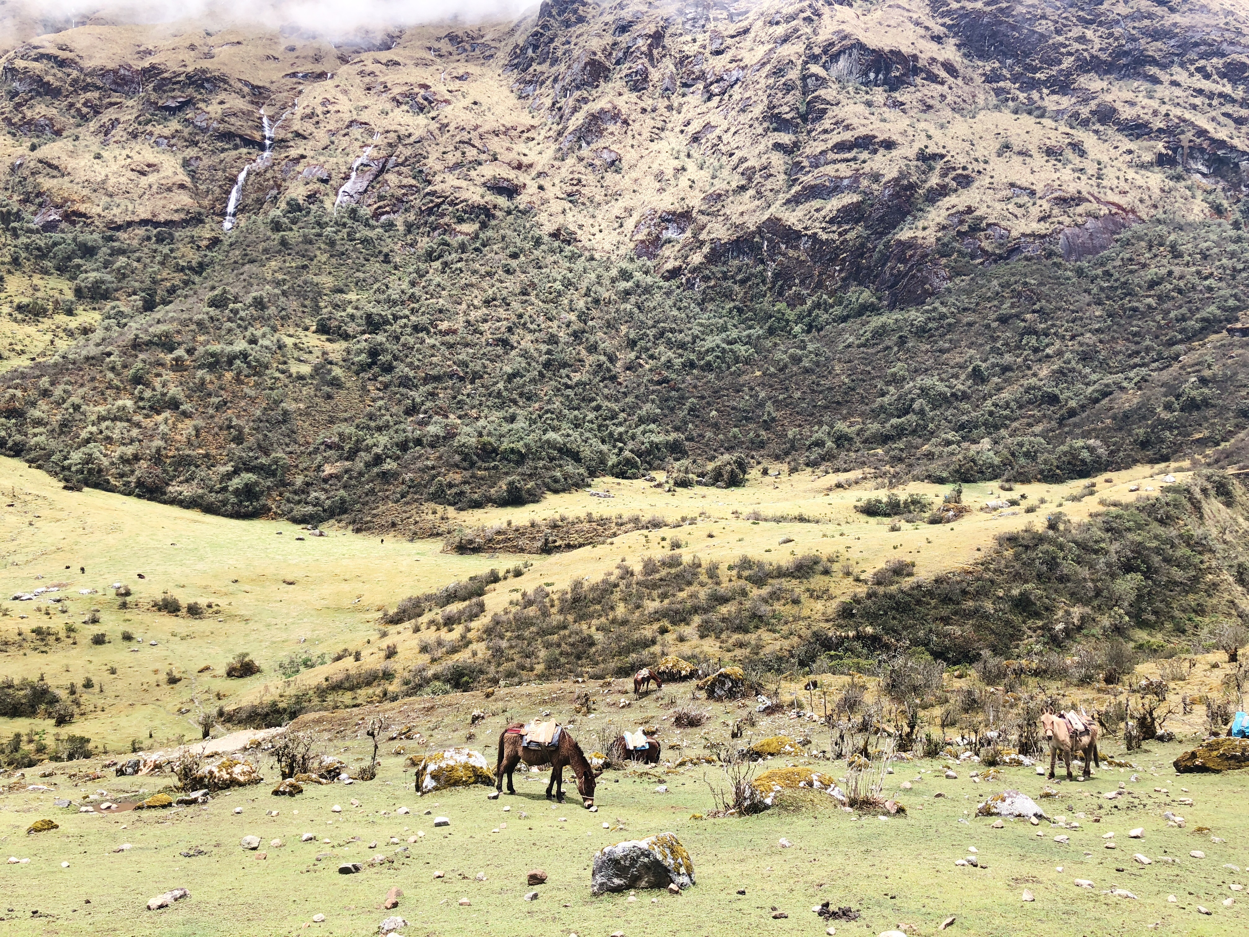 D7CB1820-1E9B-485C-AC53-5142E4E2F101