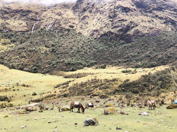 D7CB1820-1E9B-485C-AC53-5142E4E2F101